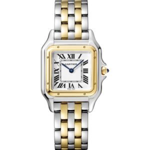 PANTHERE DE CARTIER, MEDIUM, YELLOW GOLD AND STEEL
