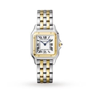 Cartier Panthère De Cartier Watch Medium Model, Quartz Movement, Yellow Gold, Steel-P17310916