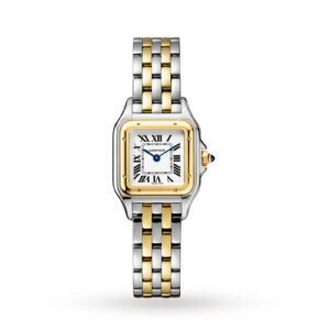 Cartier Panthère De Cartier Watch Small Model, Quartz Movement, Yellow Gold, Steel-P17310917