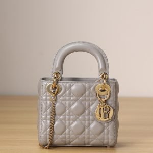 Mini Lady Dior handbag(channel)