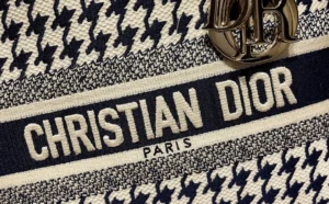 Lady D-Lite 5-panel embroidery Size: 24 x 20 x 11 cm - 图片 2