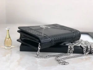 Diorama Woc Chain Bag Size: 19cm - 图片 3