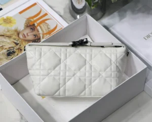 DIORTRAVEL NOMAD Clutch Bag Size: 22 x 13 x 9.5 cm - 图片 4