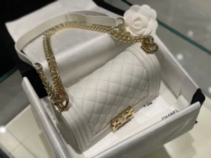 All steel light gold buckle Size: 20Cm - 图片 2