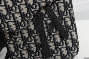 Dior Saddle Chest Bag Crossbody Model: 1ADPO171 Size: 16x21x5cm - 图片 2