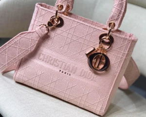 Embroidered Diamond Collection Size: 24*20*11cm - 图片 3