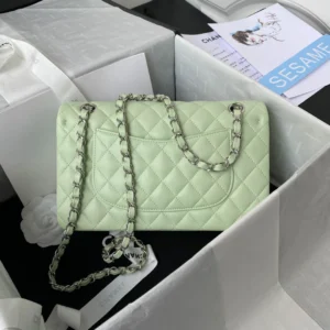 Chane1 A01112 Size: 15.5x25.5x6.5cm - 图片 3