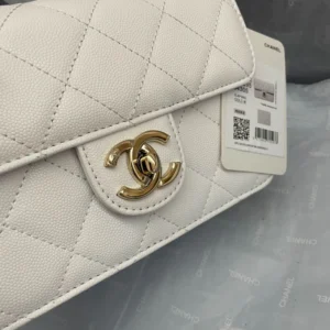 Chane Xiaoxiang Classic Bag Model: AS3002 size: 18/13/7 - 图片 3