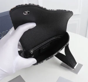 Dior Saddle Chest Bag Crossbody Model: 1ADPO171 Size: 16x21x5cm - 图片 4