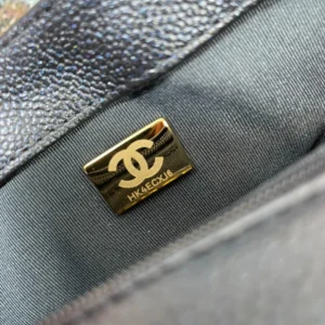 Chane Model: AS2855 Size: 19x13x6cm - 图片 4