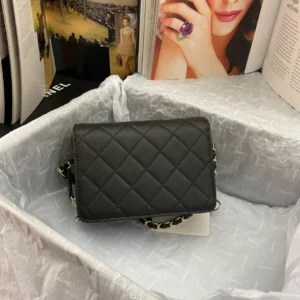 Chane Xiaoxiang Classic Bag Model: AS3002 size: 18/13/7 - 图片 3