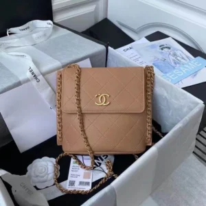 Calfskin Model: AS2542 Small: 19x23x7cm - 图片 4