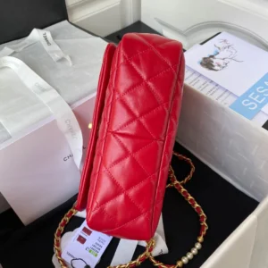 Calfskin Reference: AS3001 Dimensions: 23x15.5x7.5cm - 图片 4