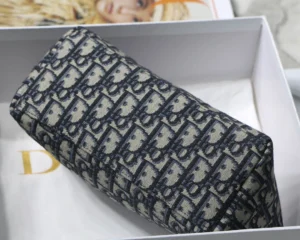 DIORTRAVEL NOMAD Clutch Size: 22 x 13 x 9.5 cm - 图片 4