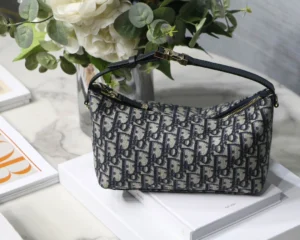 DIORTRAVEL NOMAD Clutch Size: 22 x 13 x 9.5 cm