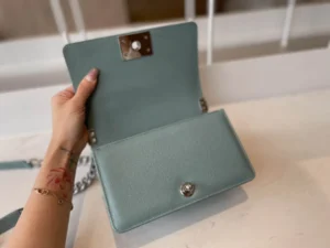 Chane ball grain calfskin Size:20cm - 图片 6