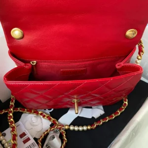 Calfskin Reference: AS3001 Dimensions: 23x15.5x7.5cm - 图片 5