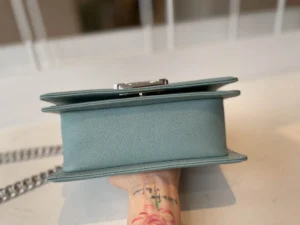 Chane ball grain calfskin Size:20cm - 图片 7