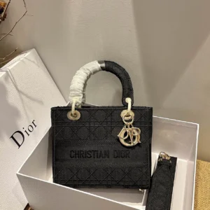 Lady D-Lite 5-panel embroidery Size: 24 x 20 x 11 cm