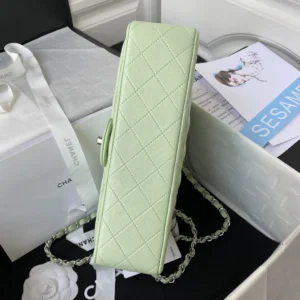 Chane1 A01112 Size: 15.5x25.5x6.5cm - 图片 4