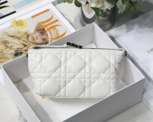DIORTRAVEL NOMAD Clutch Bag Size: 22 x 13 x 9.5 cm
