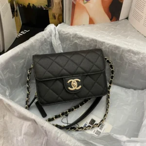 Chane Xiaoxiang Classic Bag Model: AS3002 size: 18/13/7 - 图片 7