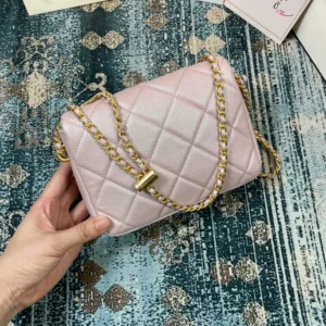 Chane Sachet Model AS2855 Dimensions: 19x13x6cm - 图片 3