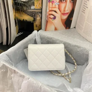 Chane Xiaoxiang Classic Bag Model: AS3002 size: 18/13/7 - 图片 5