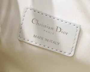 DIORTRAVEL NOMAD Clutch Bag Size: 22 x 13 x 9.5 cm - 图片 6