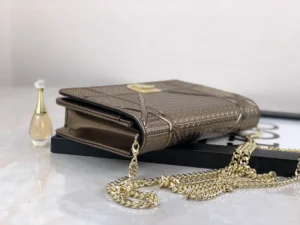 Diorama Woc Chain Bag Size: 19cm - 图片 7