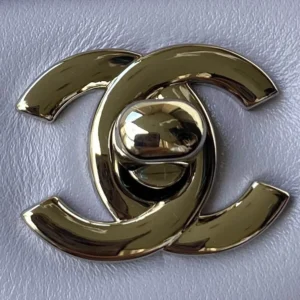 Chane1 A01112 Size: 15.5x25.5x6.5cm - 图片 6