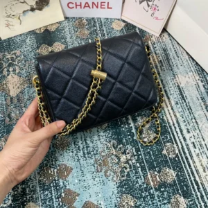 Chane Sachet Model AS2855 Dimensions: 19x13x6cm - 图片 5