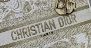 Lady D-Lite 5 compartment embroidery Size: 24 x 20 x 11cm - 图片 7