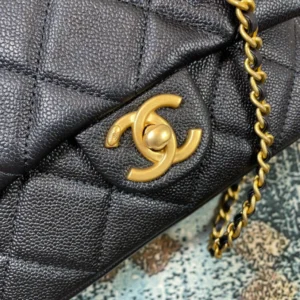 Chane Model: AS2855 Size: 19x13x6cm - 图片 7