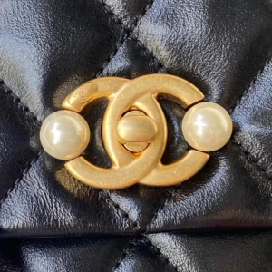 Calfskin Reference: AS3001 Dimensions: 23x15.5x7.5cm - 图片 8