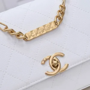 Chane Model: AS2764 Model: 9063 Size: 24 *14 *6cm - 图片 8