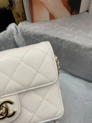 Chane Xiaoxiang Classic Bag Model: AS3002 size: 18/13/7 - 图片 7