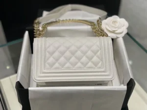 All steel light gold buckle Size: 20Cm - 图片 6