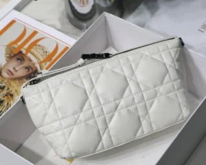 DIORTRAVEL NOMAD Clutch Bag Size: 22 x 13 x 9.5 cm - 图片 9