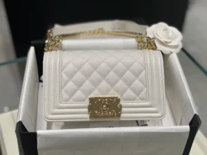 All steel light gold buckle Size: 20Cm - 图片 7