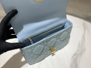 CARO Handbag Size: 25.5*15.5*8 cm - 图片 8