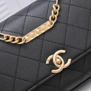 Chane Model: AS2764 Model: 9063 Size: 24 *14 *6cm - 图片 8