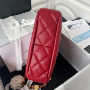 CHANE hippie bag size: 24.5x21.5x8cm - 图片 6