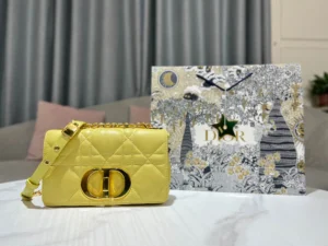 CARO Handbag Size:20cm