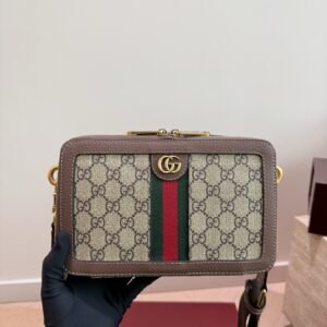 Gucci Ophidia camera bag